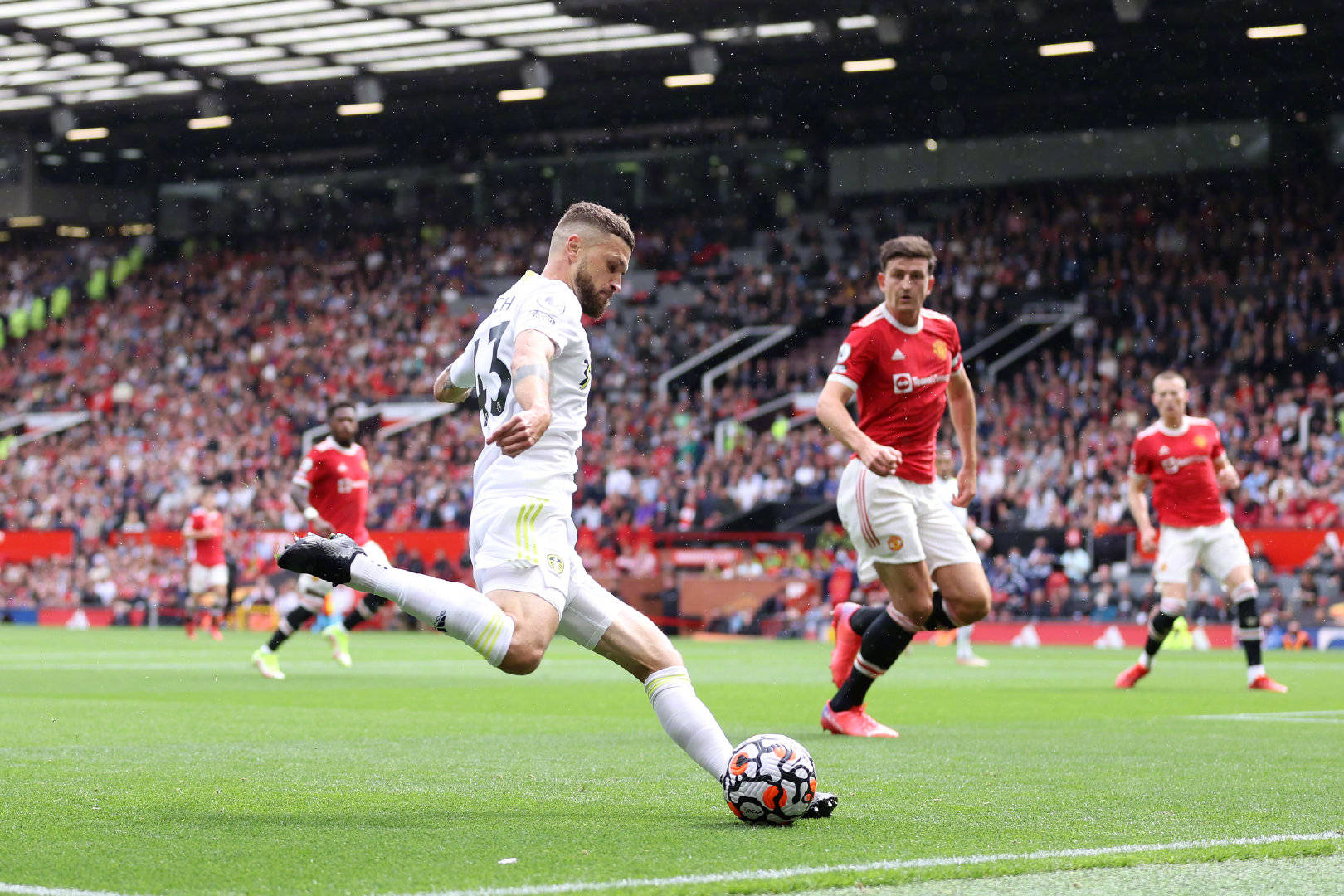 鲜亮丽的人 鲜亮丽的人